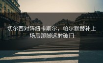 切尔西对阵纽卡斯尔，帕尔默替补上场后那脚远射破门