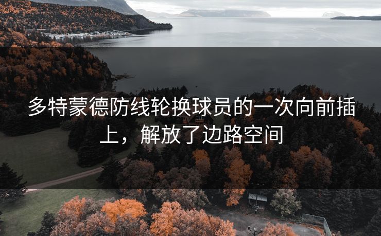 多特蒙德防线轮换球员的一次向前插上，解放了边路空间  第1张