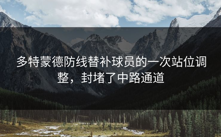 多特蒙德防线替补球员的一次站位调整，封堵了中路通道  第1张