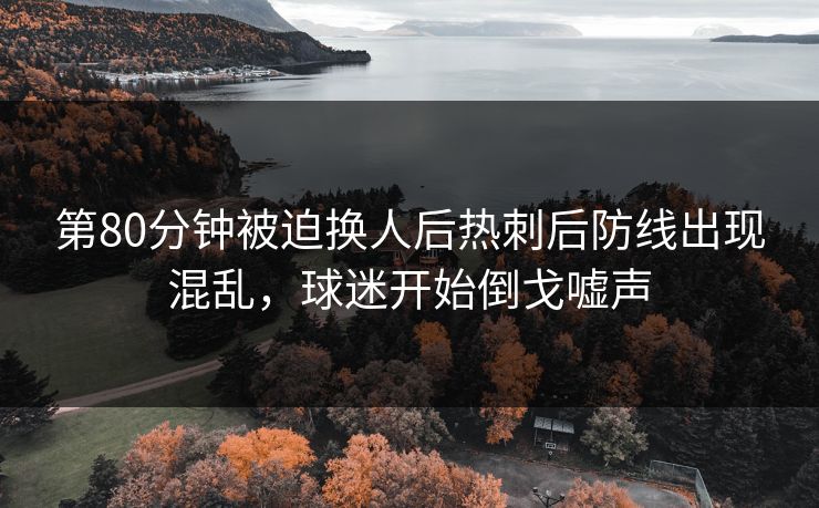 第80分钟被迫换人后热刺后防线出现混乱，球迷开始倒戈嘘声  第1张
