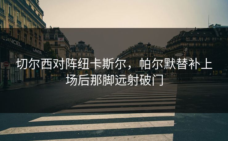 切尔西对阵纽卡斯尔，帕尔默替补上场后那脚远射破门