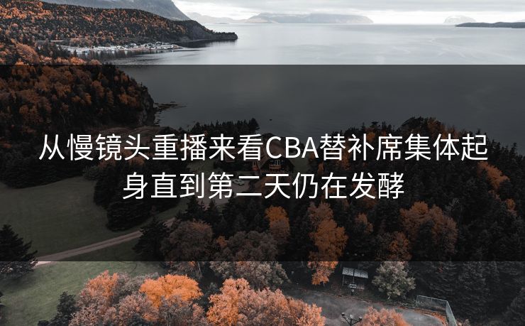 从慢镜头重播来看CBA替补席集体起身直到第二天仍在发酵